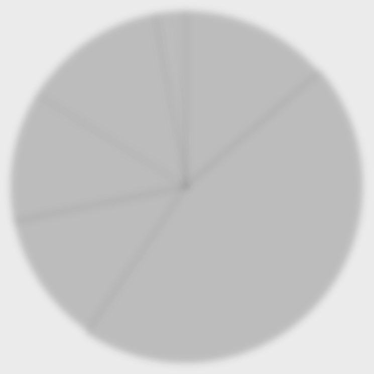 Blurred grey pie chart with radiating lines, representing data proportions.