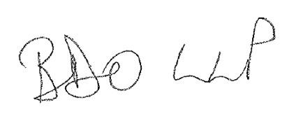 Handwritten signature, likely BDO LLP, used for authentication.