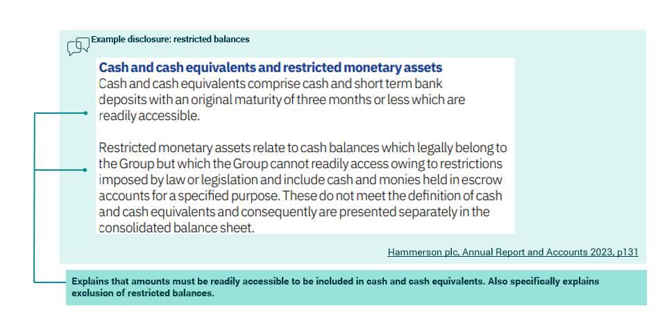 Example disclosure explaining "Cash and cash equivalents and restricted monetary assets", detailing their definitions and conditions for financial statements.