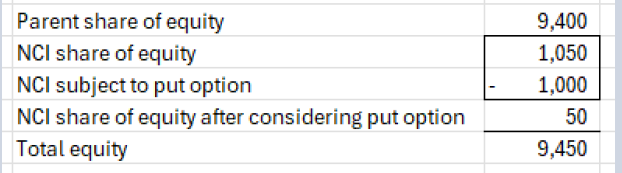 Financial table detailing equity composition, including parent share, NCI share, and the adjustment for NCI subject to a put option.