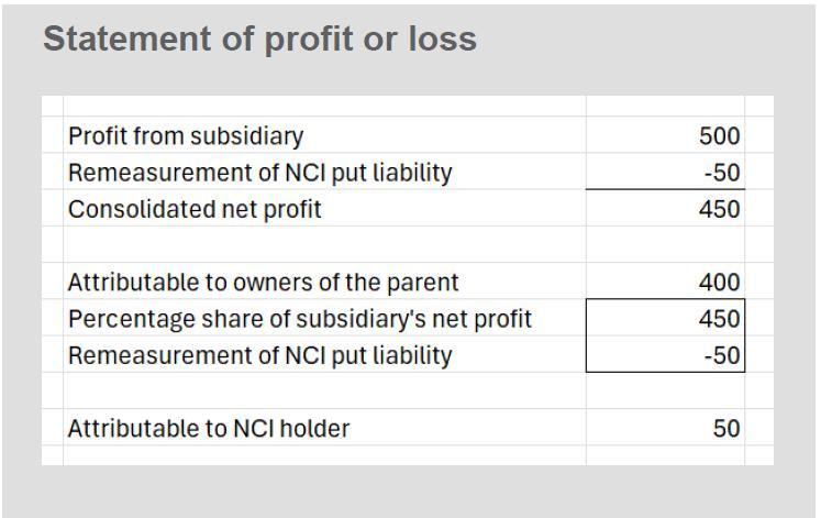Financial statement showing profit or loss details, including consolidated net profit, profit from subsidiary, NCI put liability remeasurement, and profit attribution to parent owners and NCI holders.