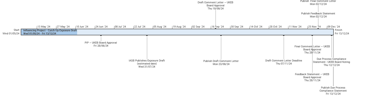 Timeline detailing the Influencing Project from May to December 2024, with milestones like board approvals, draft publications, and deadlines.